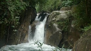 Kollywood Actor Drowned in Gepai Falls, Bidor