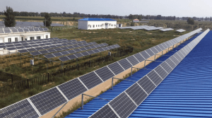 Re-energising Bidor With Solar Power Farming